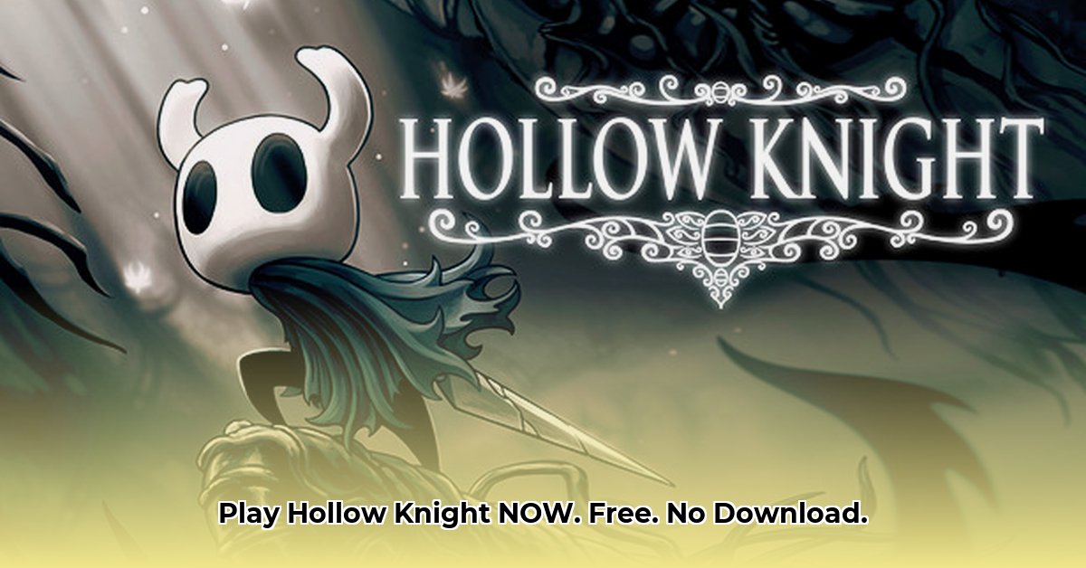 hollow-knight-online-free-no-download